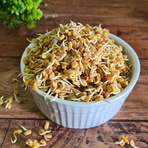 sprouted fenugreek UTv