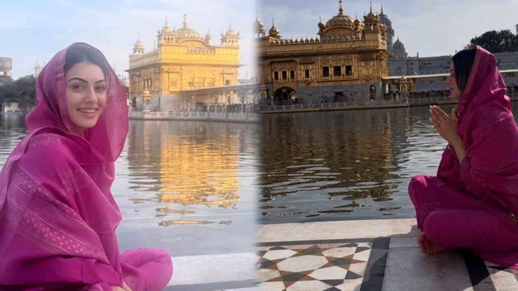 The knot is over.. Hansika made us blush after the divorce.. Shocking video!