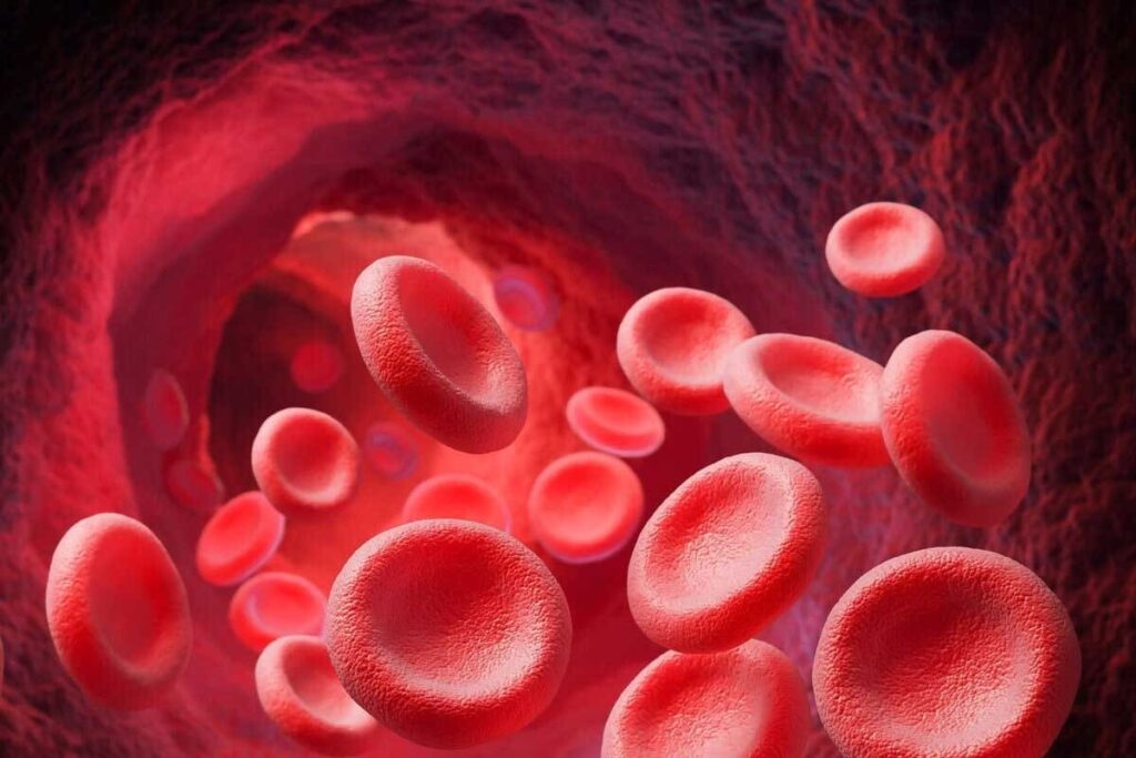 blood cells UTV