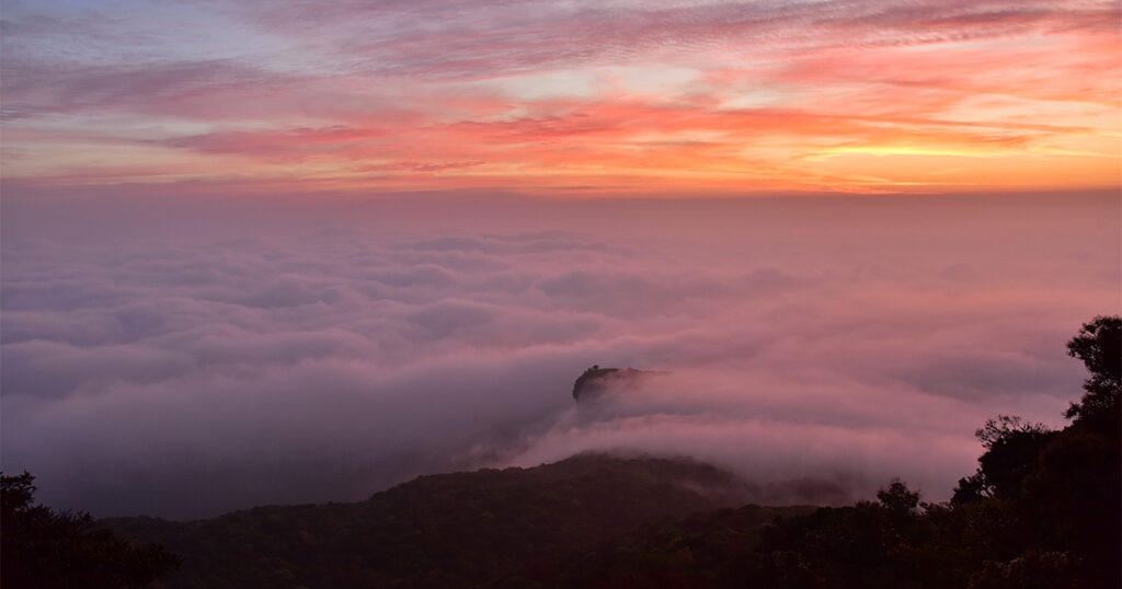 Misty atmosphere and Vanam mist view on the trekking path of Velliyangiri hills
