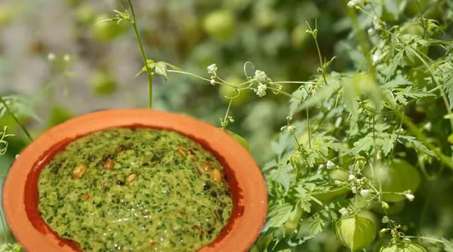 Mudakathan Keerai UTv