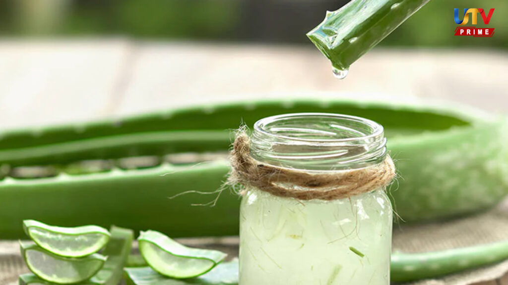5-benefits-of-applying-aloe-vera-gel-at-night UTV