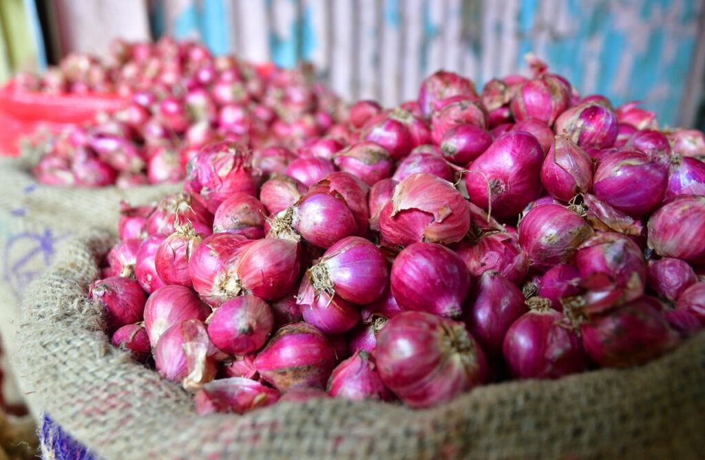 onion utv