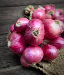 onion utv