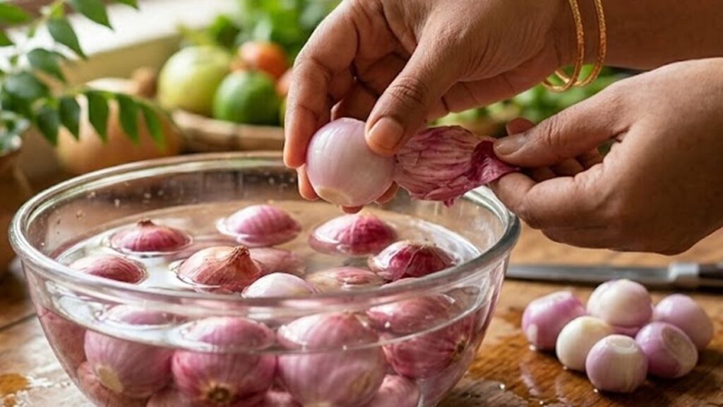 onion utv