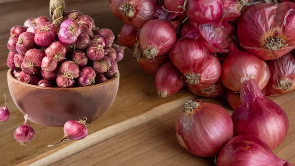 onion utv