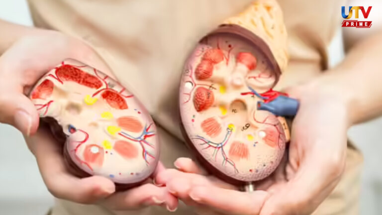 kidney detox foods utv