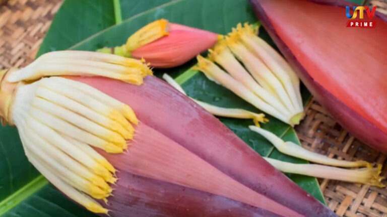 Banana Flower UTV