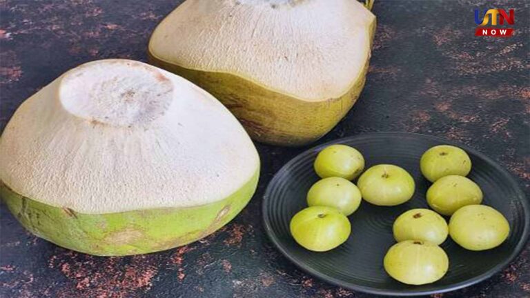 Best Summer Cooling Foods and Health Care Guide