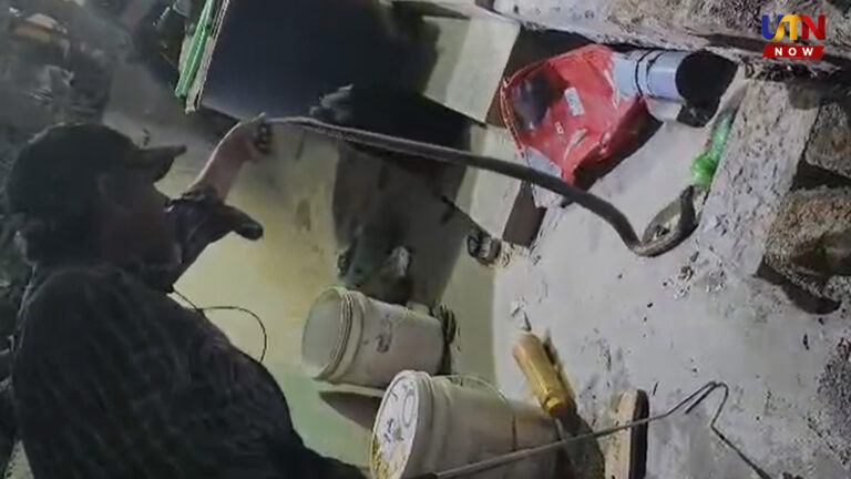 Cobra rescued from Coimbatore flower pot garden