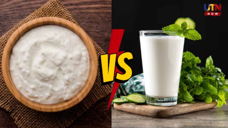 Curd Vs Buttermilk For Weight Loss Which Is Better