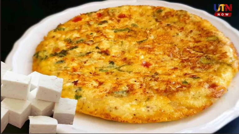 Easy Weight Loss Omelette Cooking Recipe Guide