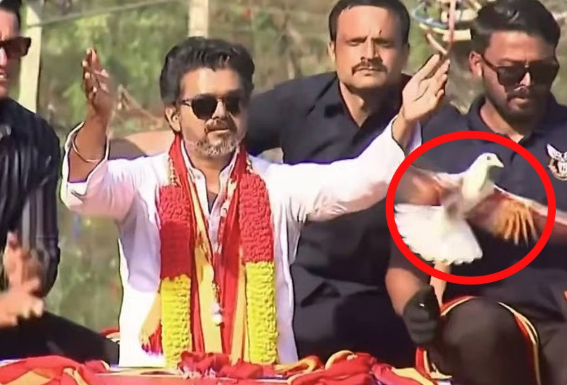 peta-condemns-tvk-vijay-dove-election-campaign