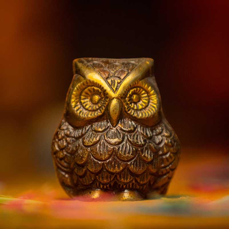 Vastu Tips for Keeping Owl Statue at Home