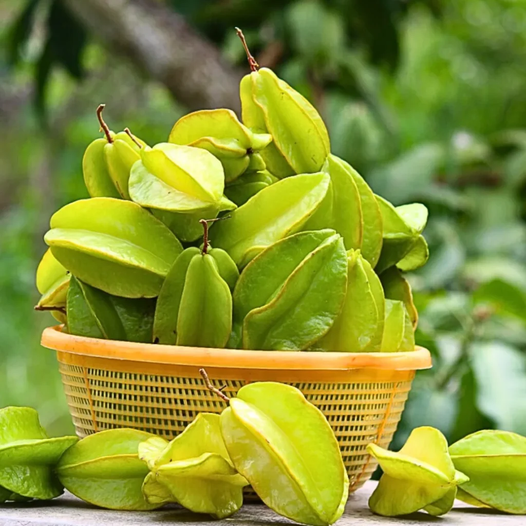 Star fruit health benefits and side effects