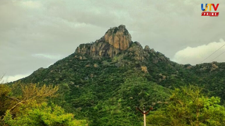 Trekking guide to Parvathamalai hills spiritual mysteries