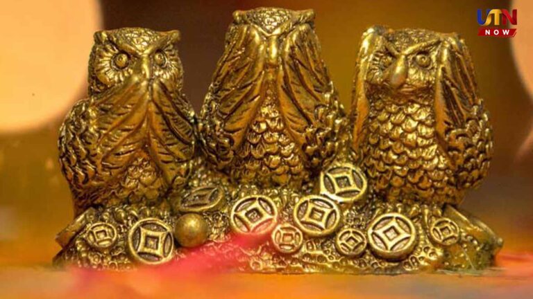 Vastu Tips for Keeping Owl Statue at Home