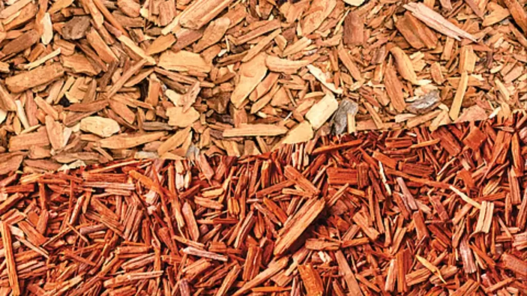 Sandalwood benefits for glowing and healthy skin
