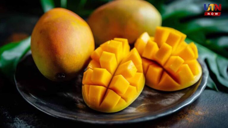 health-benefits-buying-tips-for-mangoes-guide