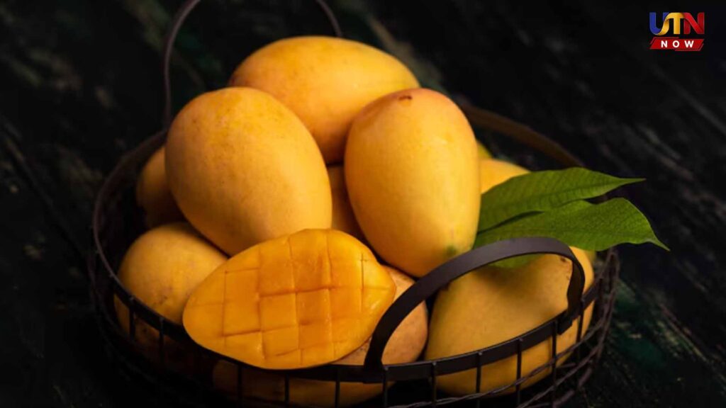health-benefits-buying-tips-for-mangoes-guide