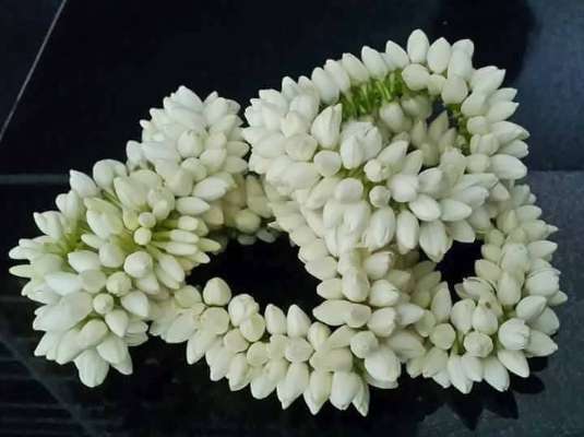 jasmine-flower-beauty-tips-skin-hair-care