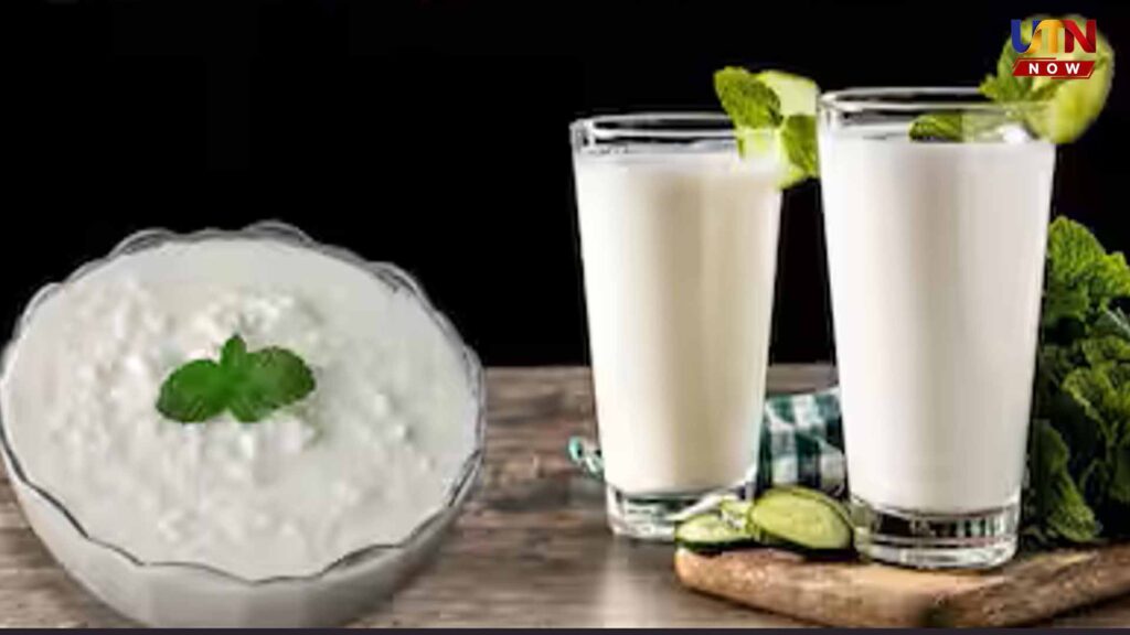 Curd Vs Buttermilk For Weight Loss Which Is Better