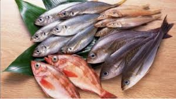 health-benefits-of-sheela-fish-nutrition-facts