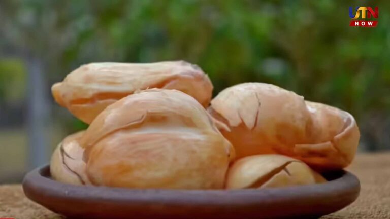 summer-health-tips-doctor-arunkumar-nungu-benefits