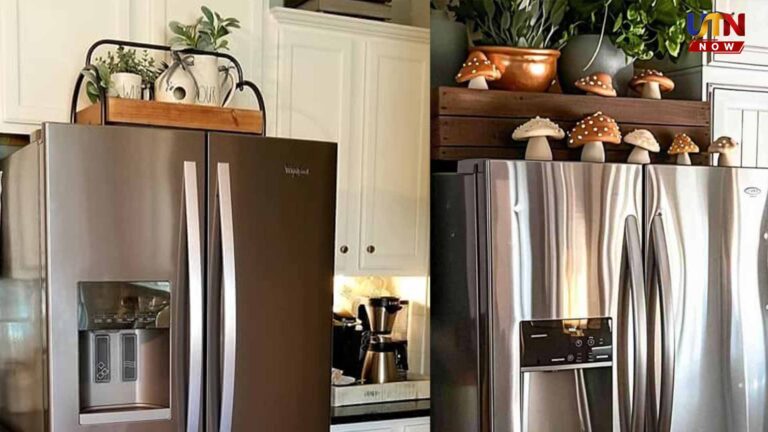 vastu-tips-never-keep-these-items-on-top-of-fridge