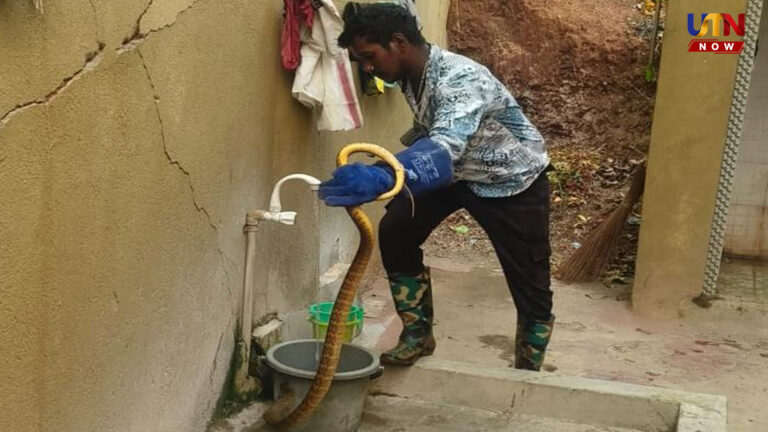 5-foot rat snake rescued from Coimbatore house bathroom
