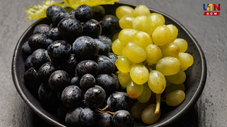 Black vs green grapes health benefits comparison