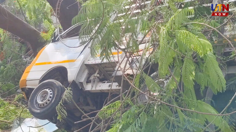 Tree fall accidents in Coimbatore RS Puram
