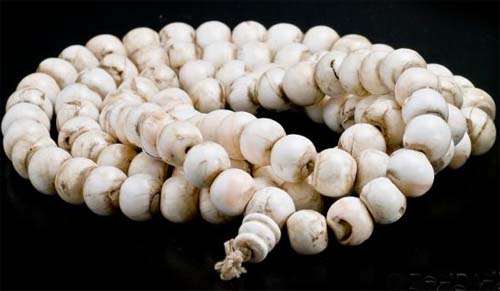 Spiritual Benefits and Significance of Shankh Mala