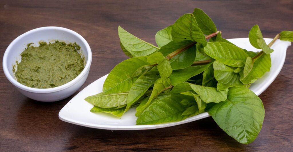 guava-leaf-face-pack-benefits-tamil