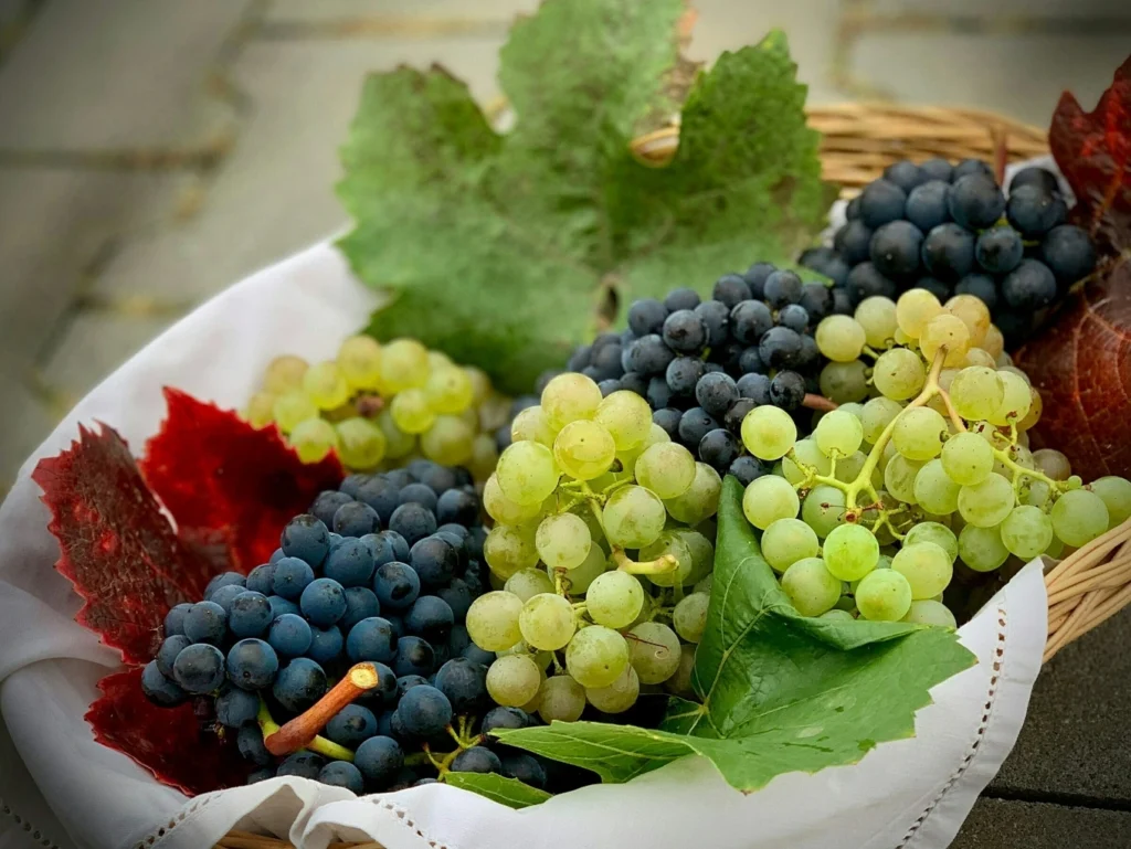 Black vs green grapes health benefits comparison