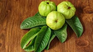 guava-leaf-face-pack-benefits-tamil