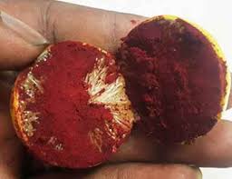 remove-family-evil-eye-traditional-remedies