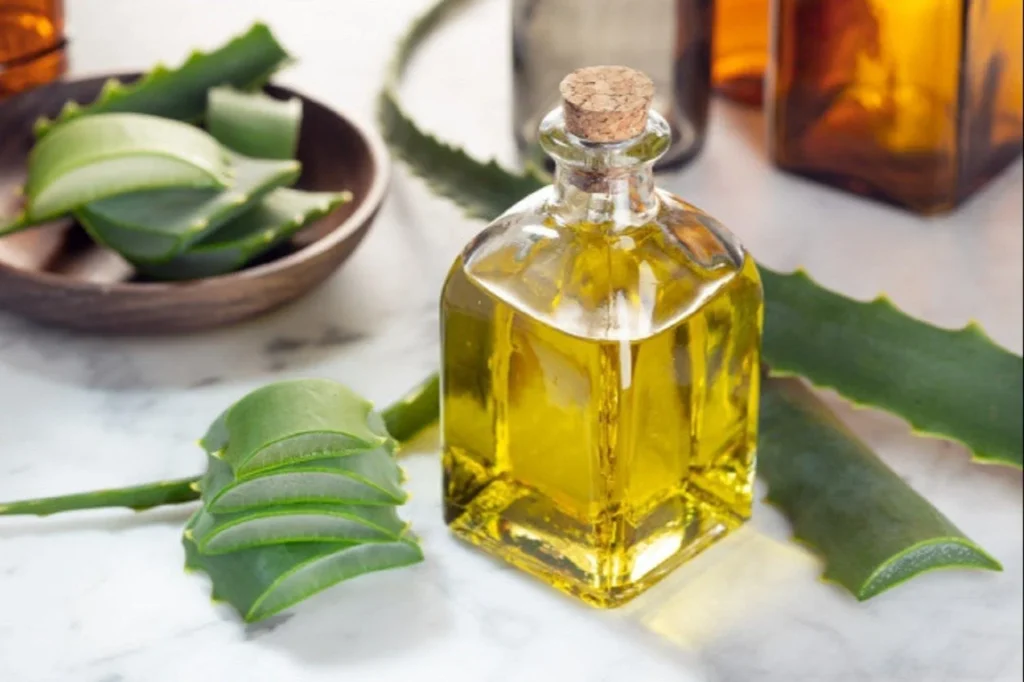 aloe-vera-hair-oil-preparation-benefits