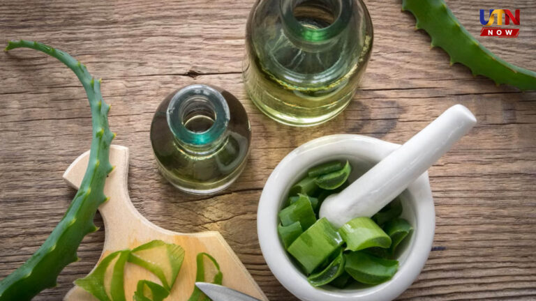 aloe-vera-hair-oil-preparation-benefits