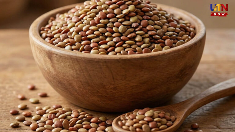 சிறுநீரகக் கற்களைக் கரைக்கும் இயற்கை மருந்து.. கொழுப்பைக் கரைக்கும் சூப்பர் ஃபுட்..! horse-gram-health-benefits-weight-loss
