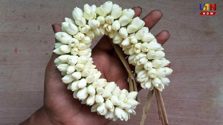 முதலிரவு அறையில் மல்லிகைப் பூ அலங்காரம்.. இந்த விஷயத்தை தெரிஞ்சுக்கோங்க..! scientific-reason-behind-jasmine-flowers-first-night