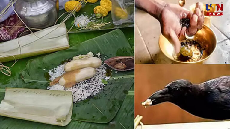 shani-amavasya-pitru-dosha-remedies-benefits