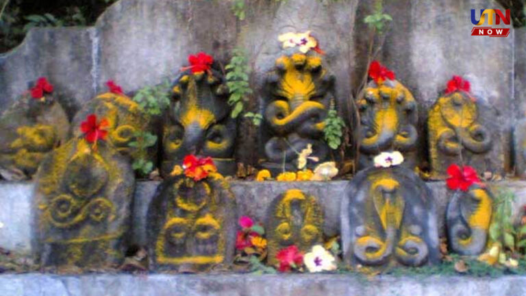 ராகு-கேது தோஷம் நீங்க.. நாக பஞ்சமி திருநாளின் ஆன்மீகச் சிறப்புகள்..! naga-panchami-2026-date-significance-worship-rituals-tamil