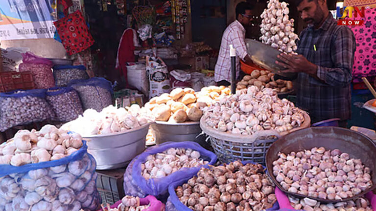 பூண்டுக்குக் கிடைத்த மவுசு.. கிலோ ரூ. 550-க்கு விற்பனை..! ooty-garlic-price-hike-farmers-happy