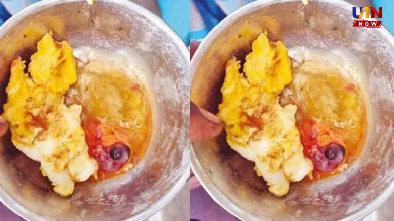 இறந்த கோழிக்குஞ்சு சர்ச்சை.. அரசு முட்டையா அல்லது வெளியா? தீவிர விசாரணைக்கு உத்தரவு..! thoothukudi-anganwadi-egg-controversy-officer-inspection-action