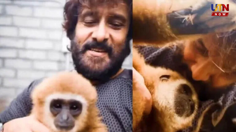 அரிய வகை குரங்குடன் ரீல்ஸ்: நடிகர் விக்ரமுக்கு எதிராக வெடிக்கும் சர்ச்சை..! actress-trisha-instagram-story-reply-to-rumours-vijay-controversy