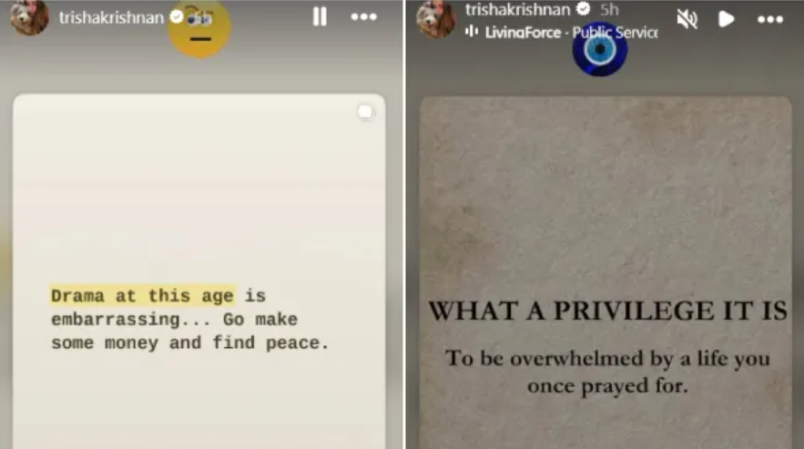 actress-trisha-instagram-story-reply-to-rumours-vijay-controversy