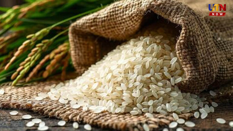 அதிரடியாக உயர்ந்த அரிசி விலை.. கிலோவுக்கு ரூ. 8 முதல் ரூ. 30 வரை அதிகரிப்பு..! tamil-nadu-rice-price-hike-cauvery-delta-shortage