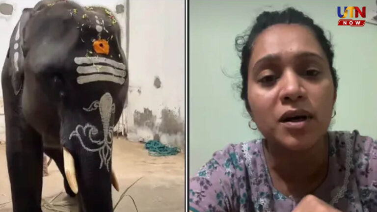 சங்கிலியால் கட்டுவது சரியா?.. விலங்குகள் நலனுக்காகக் குரல் கொடுக்கும் நடிகை சந்தியா..! actress-sandhya-tiruvannamalai-temple-elephant-controversy-video