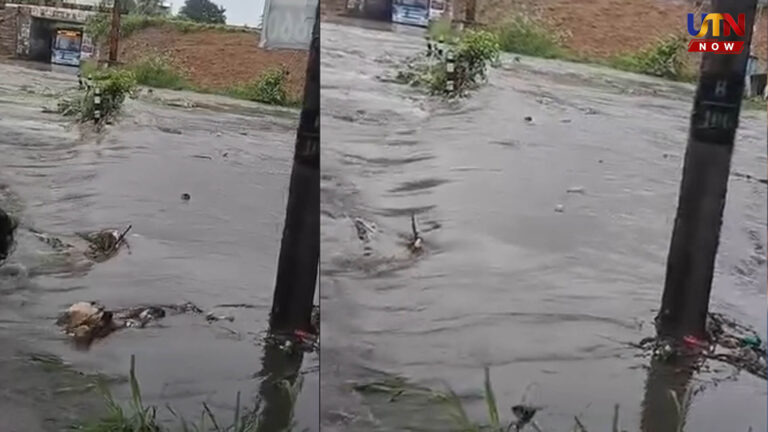 அண்ணா போகாதீங்க… இழுத்துட்டு போயிடும்.. கொட்டி தீர்த்த வெள்ளம்..! coimbatore-heavy-rains-floodwater-overflows-veerapandi-road-viral-video